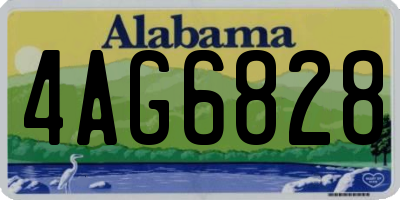 AL license plate 4AG6828