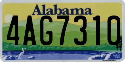 AL license plate 4AG7310