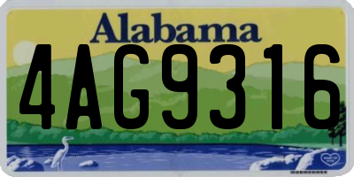 AL license plate 4AG9316
