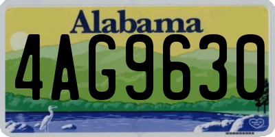 AL license plate 4AG9630
