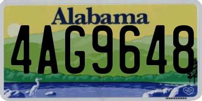 AL license plate 4AG9648