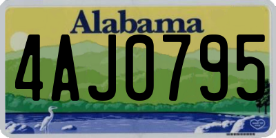 AL license plate 4AJ0795