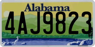 AL license plate 4AJ9823