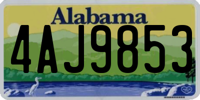 AL license plate 4AJ9853