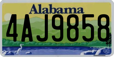 AL license plate 4AJ9858
