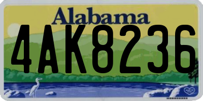 AL license plate 4AK8236