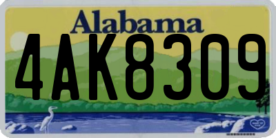 AL license plate 4AK8309