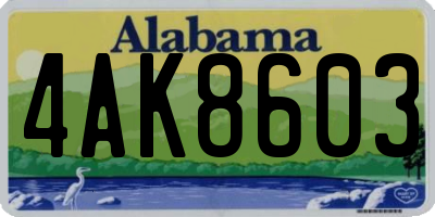 AL license plate 4AK8603