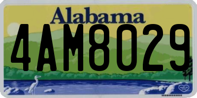 AL license plate 4AM8029