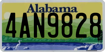 AL license plate 4AN9828