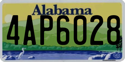 AL license plate 4AP6028
