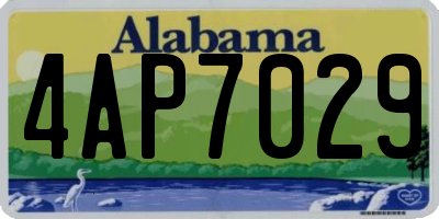 AL license plate 4AP7029