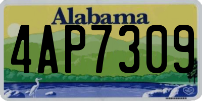 AL license plate 4AP7309
