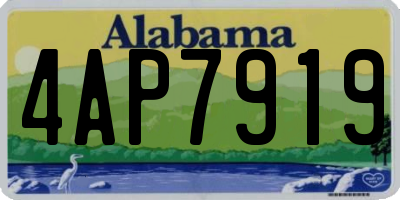 AL license plate 4AP7919