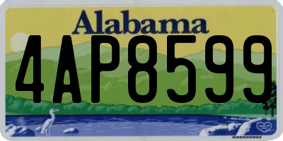 AL license plate 4AP8599