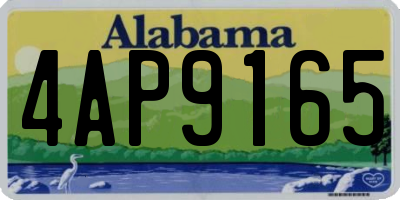AL license plate 4AP9165