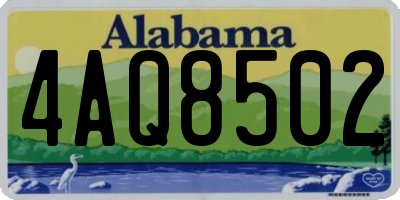AL license plate 4AQ8502
