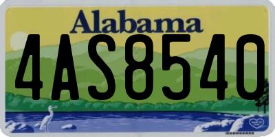 AL license plate 4AS8540