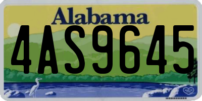 AL license plate 4AS9645