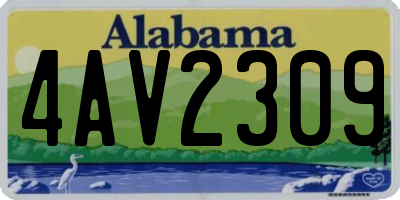 AL license plate 4AV2309