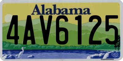 AL license plate 4AV6125