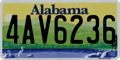 AL license plate 4AV6236