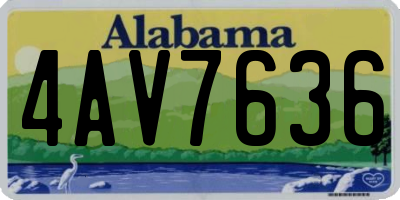 AL license plate 4AV7636