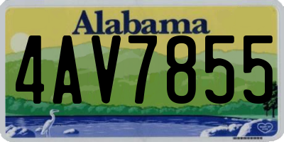 AL license plate 4AV7855