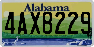 AL license plate 4AX8229