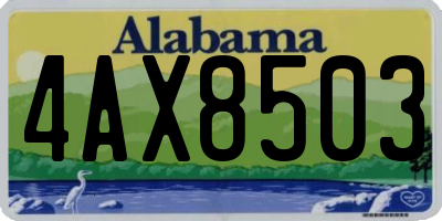 AL license plate 4AX8503