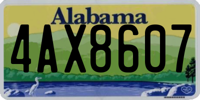 AL license plate 4AX8607
