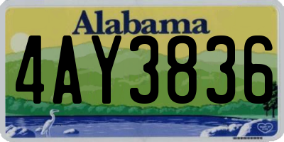 AL license plate 4AY3836
