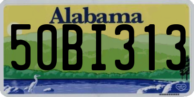 AL license plate 50BI313