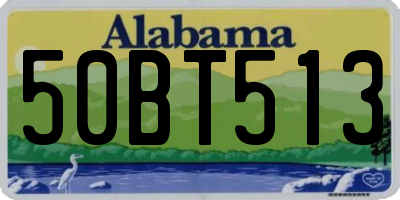 AL license plate 50BT513