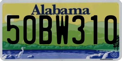 AL license plate 50BW310