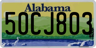 AL license plate 50CJ803