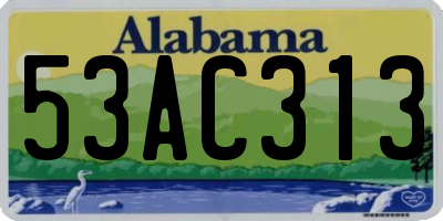 AL license plate 53AC313