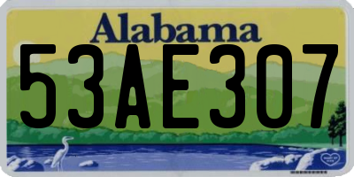 AL license plate 53AE307