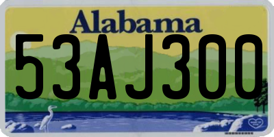 AL license plate 53AJ300