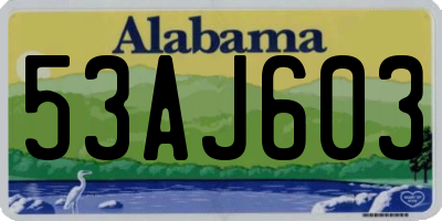 AL license plate 53AJ603