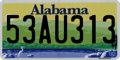 AL license plate 53AU313