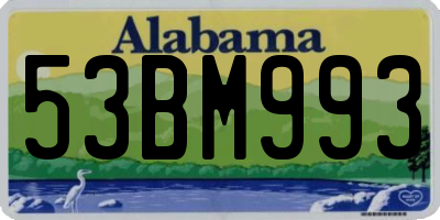 AL license plate 53BM993