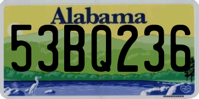 AL license plate 53BQ236