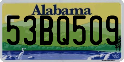 AL license plate 53BQ509