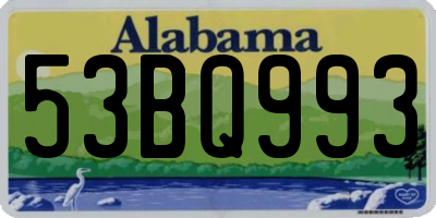 AL license plate 53BQ993