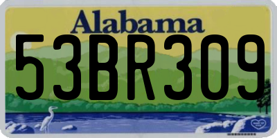 AL license plate 53BR309