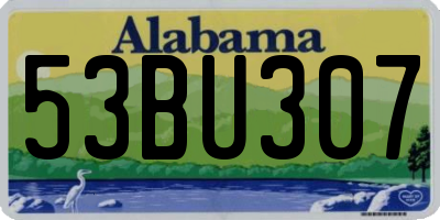 AL license plate 53BU307