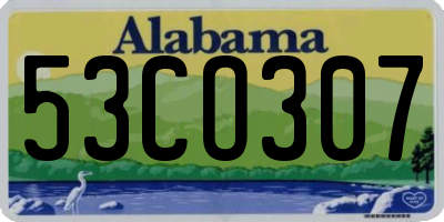 AL license plate 53CO307