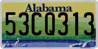 AL license plate 53CQ313