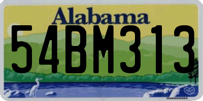 AL license plate 54BM313